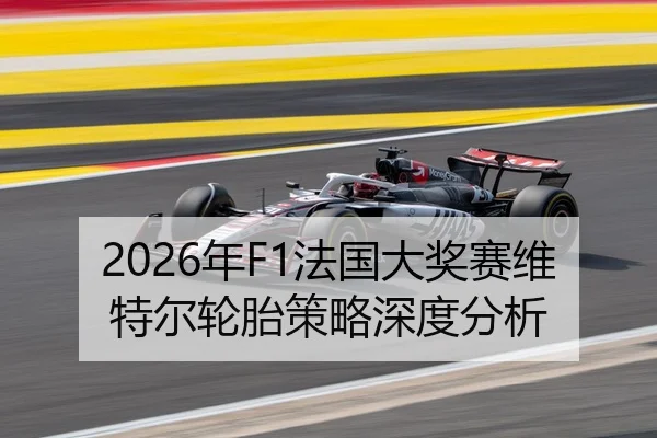 2026年F1法国大奖赛维特尔轮胎策略深度分析