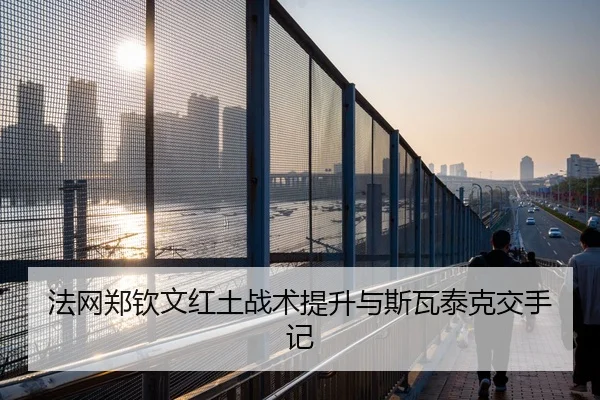 fa-wang-zheng-qin-wen-hong-tu-zhan-shu-ti-sheng-yu-si-wa-tai-ke-jiao-shou-ji-2-501.jpg
