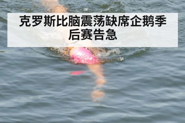 克罗斯比脑震荡缺席企鹅季后赛告急